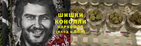 гашик Коряжма
