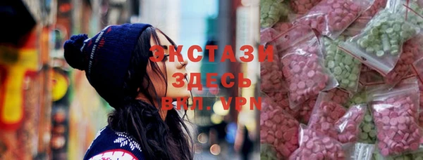гашик Коряжма