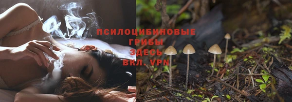 а пвп мука Корсаков