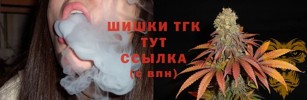 тгк Костерёво
