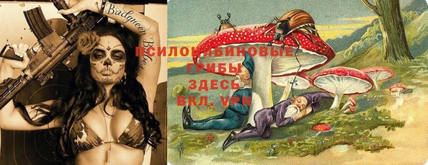 тгк Костерёво