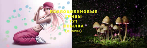 гашик Коряжма