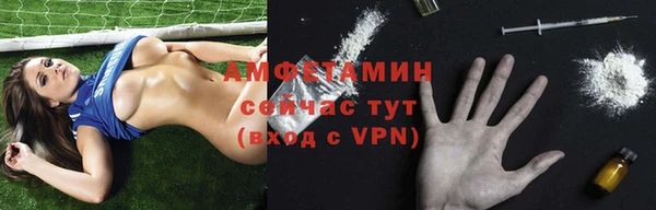 гашик Коряжма