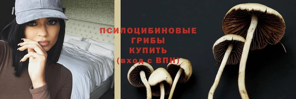 а пвп мука Корсаков