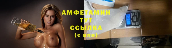 гашик Коряжма