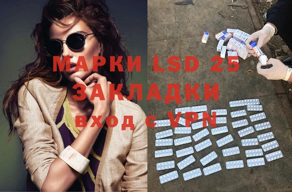 гашик Коряжма