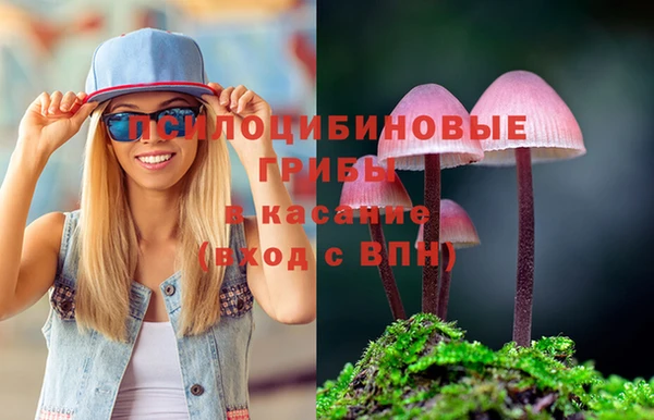 а пвп мука Корсаков