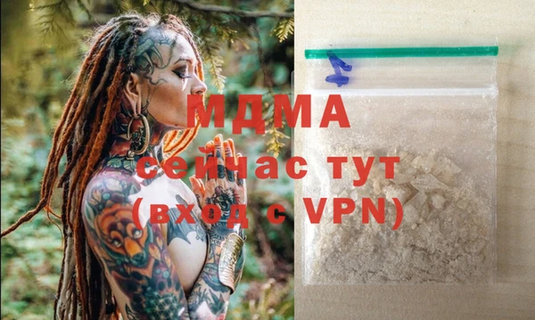 гашик Коряжма